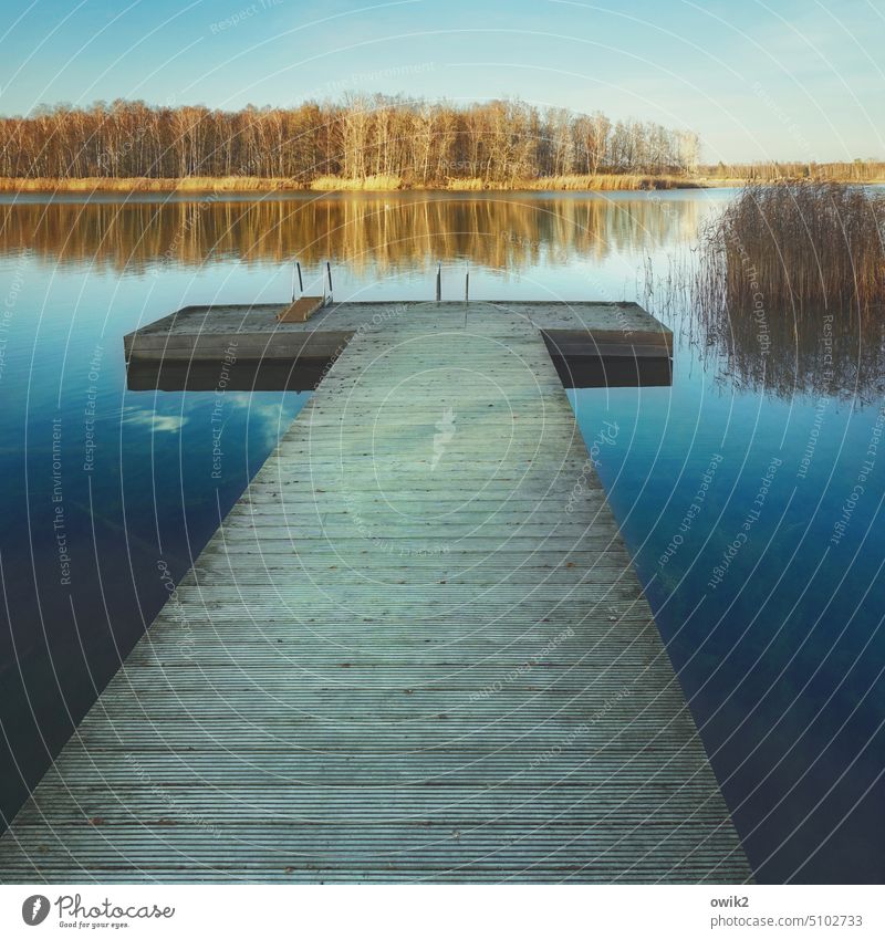 catwalk Jetty jetty Footbridge Water Exterior shot Wood Nature Deserted Lakeside Reflection Landscape Relaxation Colour photo Day Calm Idyll Surface of water