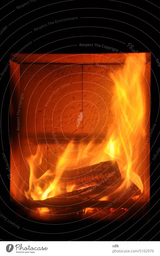 Heat with wood | enjoy the cozy warmth of the fire. Fire Wood kiln Bollero oven Warmth Winter comforting warmth heat up naturally Burn Flame Hot Light Fireplace
