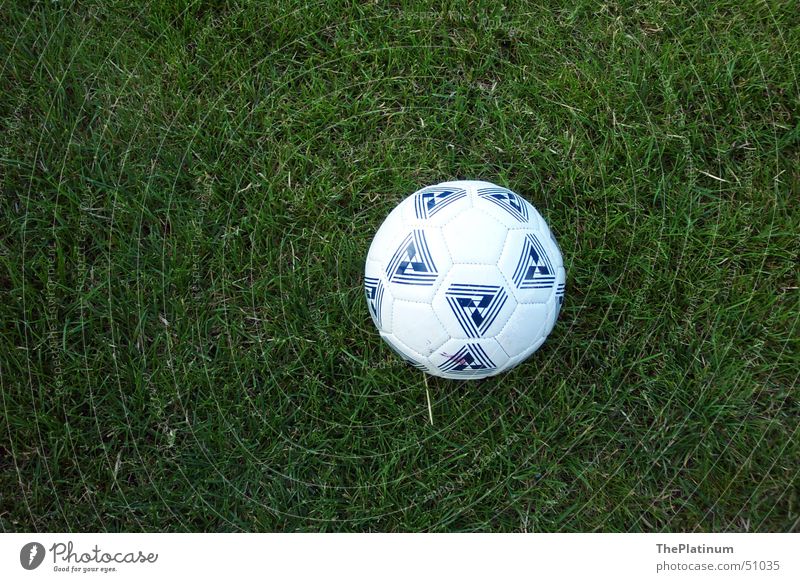Football on lush grass Grass Green Juicy Fresh Meadow Round Playing Exterior shot Ball Soccer Germany Joy Freedom