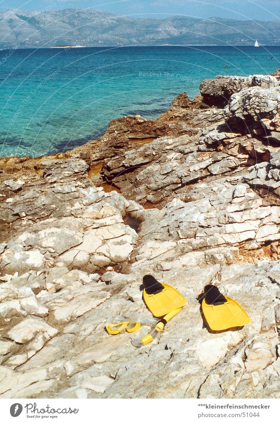 Day at the sea (Korcula/Croatia) Coast Ocean Vacation & Travel Calm Relaxation Bikini Vantage point Blue-green Green Snorkeling Summer Leisure and hobbies