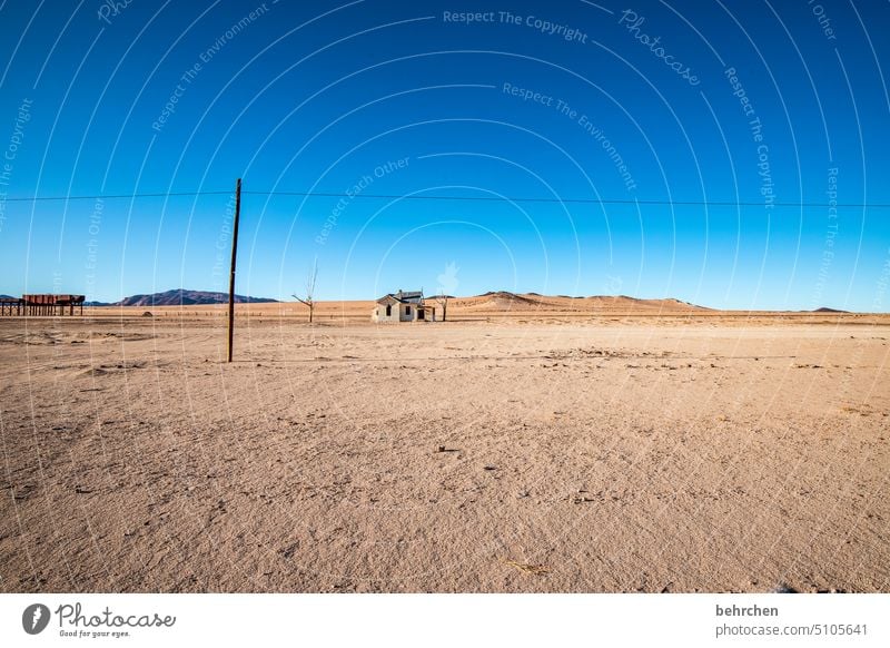 wild namibia Sky Warmth Africa Namibia Desert Wanderlust Colour photo Adventure Vacation & Travel especially Impressive Drought Dry Climate change Luderitz