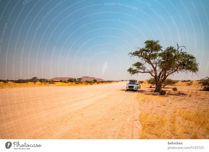 on pad again roof tent jeep car Motoring Gravel path gravel road Namibia Adventure Colour photo travel Freedom Nature Wanderlust Far-off places wide Africa