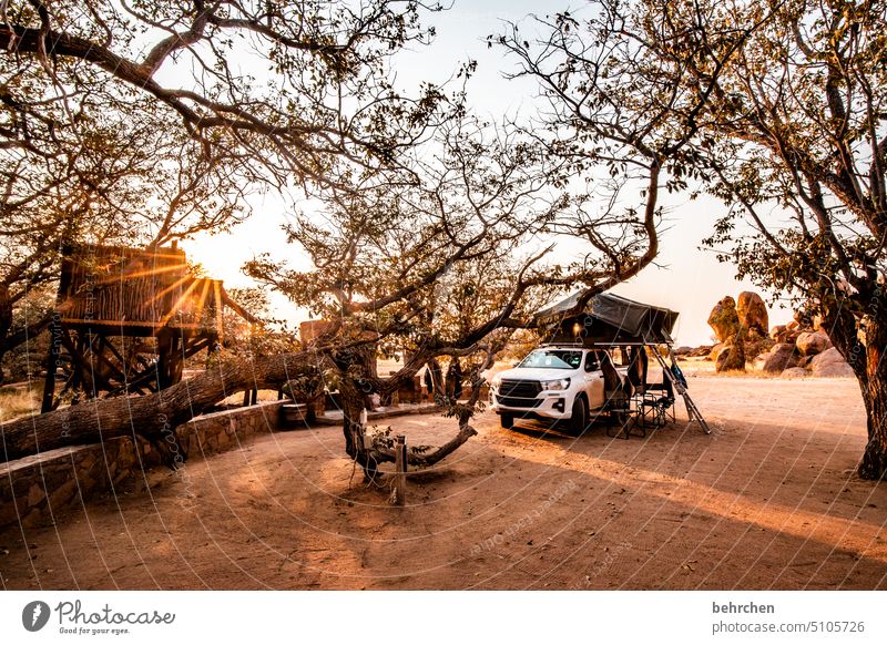 outside is a wonderful place Camping Wilderness Camping site camp Tent roof tent jeep Wanderlust travel Namibia Africa Vacation & Travel Adventure Tree