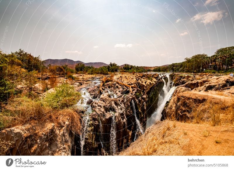 epupa if Warmth Sky especially Adventure Vacation & Travel Landscape Nature Wanderlust Namibia Africa Dry aridity Drought Climate change epupafalls Tree River