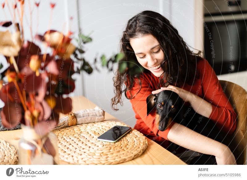 Happy young woman caressing her dachshund dog home happy smile friend pet love hug playing petting puppy purebred friendship owner beautiful cheerful family