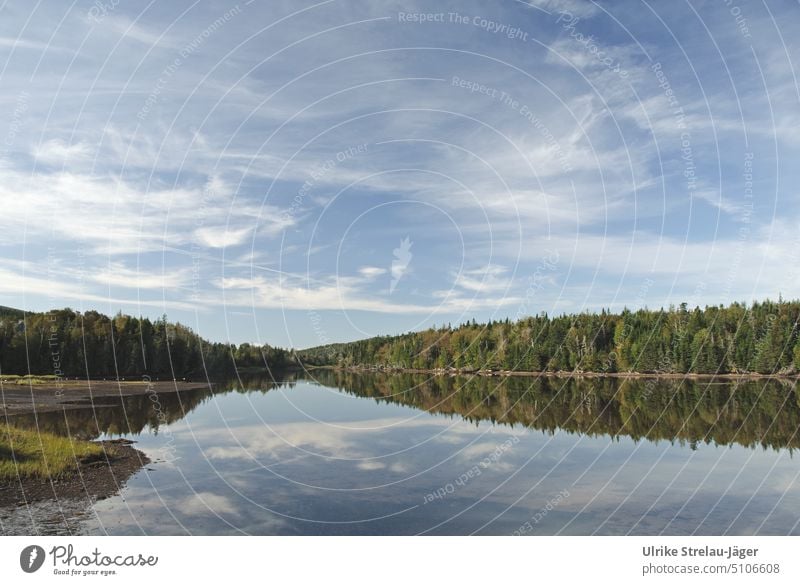 Lake in Canada with forest and clouds reflection Clouds Sky Forest Calm Peaceful Water windless Blue White Green bank Surface of water Lakeside Landscape Idyll