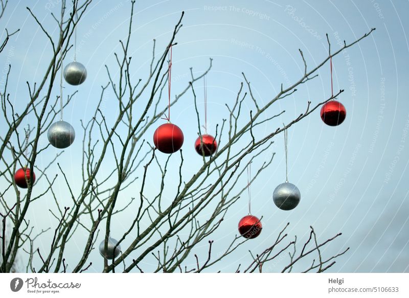 red and silver Christmas baubles hang on bare branches against blue gray sky christmas ball christmas ornaments Christmas decoration Christmas & Advent