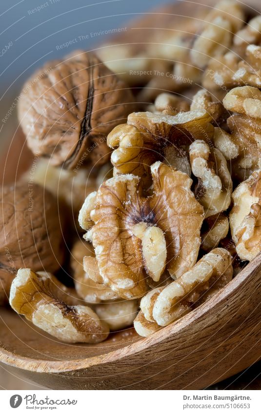 Walnut kernels in a mango wood bowl, close-up Walnuts Nut Fruit Nut kernels Wooden bowl shallow depth of field Deserted ingredient Dish Snack Food Colour photo