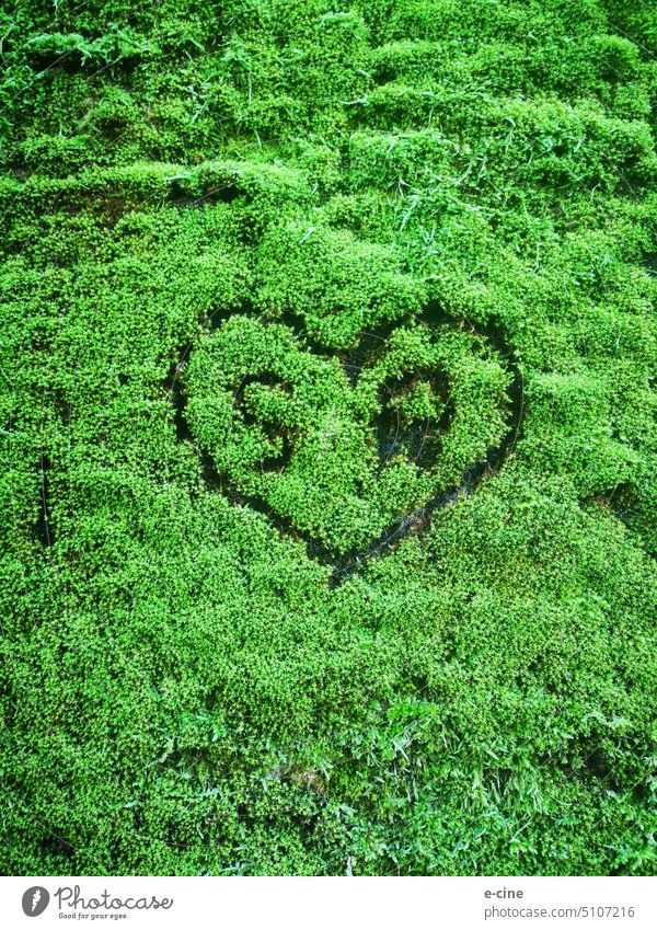 S and R a heart in green moss Moss Green Nature Plant Colour photo Exterior shot Deserted Detail Heart Heart-shaped Love Romance Infatuation Emotions