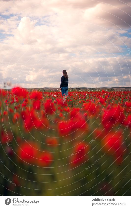 Unrecognizable woman in poppy field flower bloom nature countryside blossom plant cloudy sky meadow female red floral grass casual fresh lady stand bright