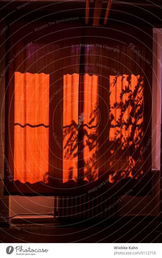 View of a window with drawn curtain. Orange light as shadows are trees / bushes. An old radiator is half bent under the curtain. Old house. lost places Drape