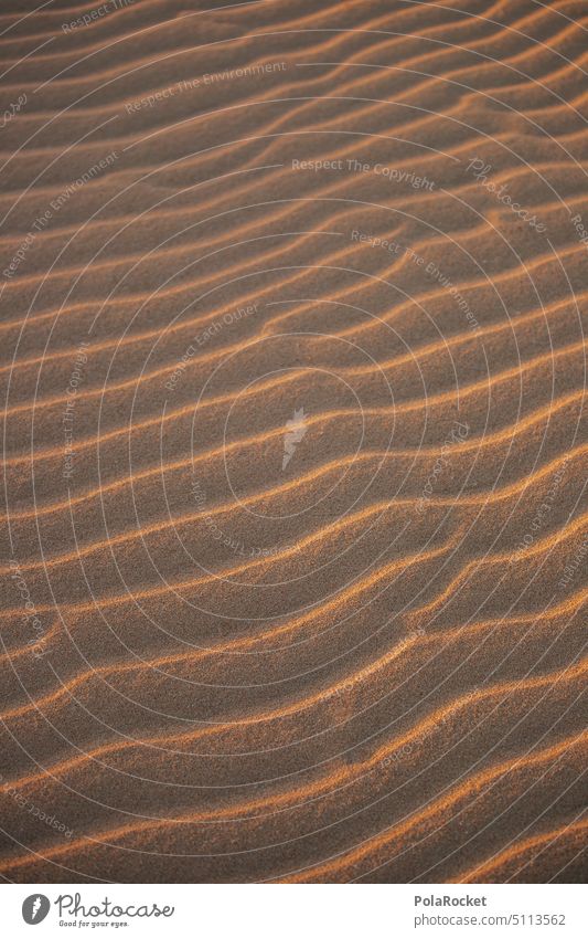 #A0# Sand structures Sandy beach sandy Sandbank Sanddrift Desert Hot ardor Exterior shot Nature Beach Landscape Vacation & Travel duene Colour photo Summer