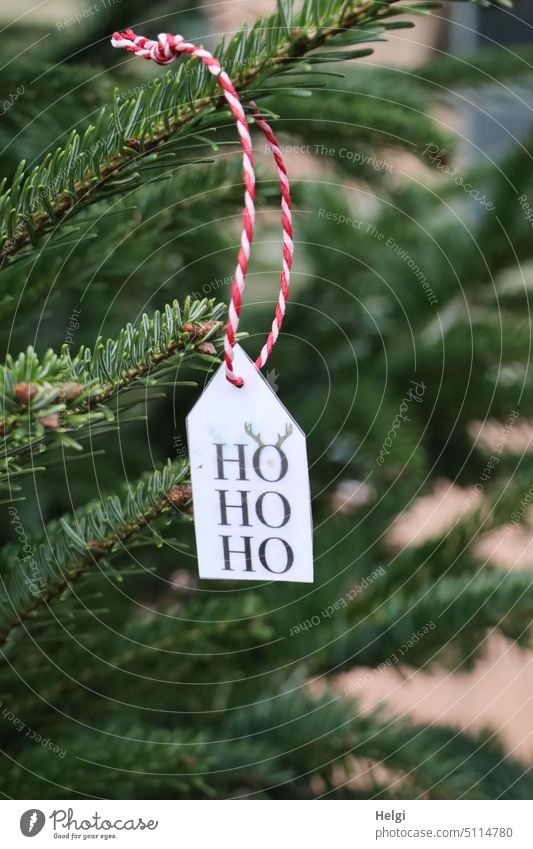 Ho Ho Ho - decorative pendant with the words Ho Ho Ho hangs on the Christmas tree ho ho ho Advent Decoration decoration Decoration pendant Christmassy fir tree