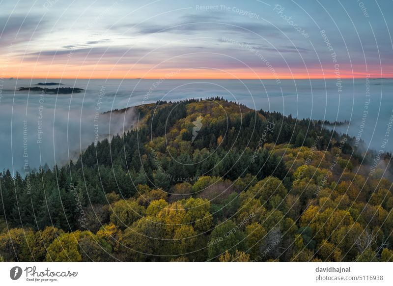 Panoramic view on the Odenwald near Lampenhain and fog over the Rhine Valley. aerial aerial view forest tree autumn germany europe landmark sight sightseeing