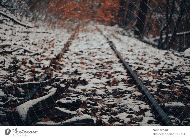Old railroad tracks, covered with snow, end in autumn bushes Railroad decommissioned Decommissioning rails by rail Autumn Snow snowy No through road Terminus