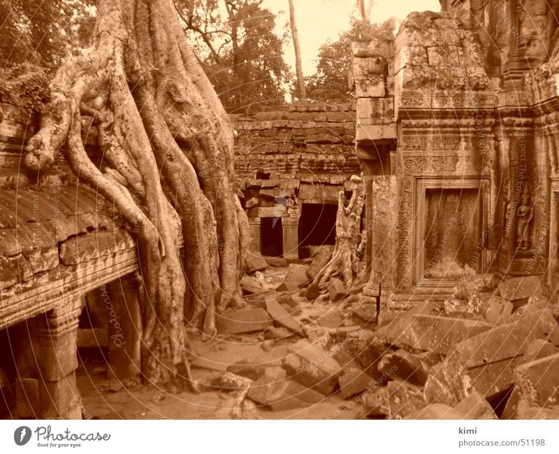 Tomb Raider Temple, Cambodia Ta Prohm temple Manmade structures tomb raider temple Sepia