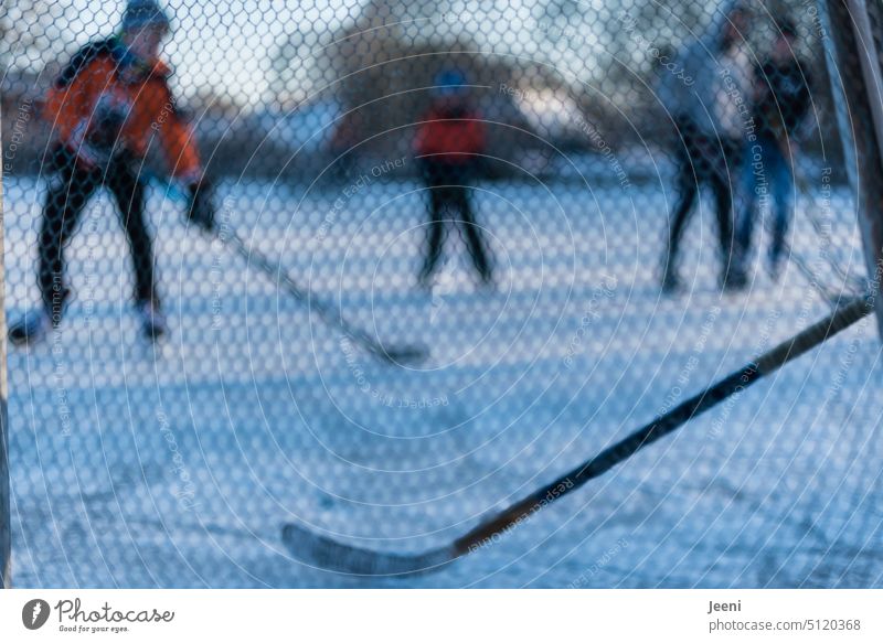 Teenagers play ice hockey Ice hockey Winter Frost Leisure and hobbies Cold Snow Ice-skates Frozen Frozen surface Playing people Youth (Young adults) Sports