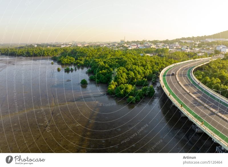 Aerial view of curve road with green mangrove forest and seaside city. Mangrove ecosystem. Mangroves capture CO2 from the atmosphere. Blue carbon ecosystems. Mangroves absorb carbon dioxide emissions.