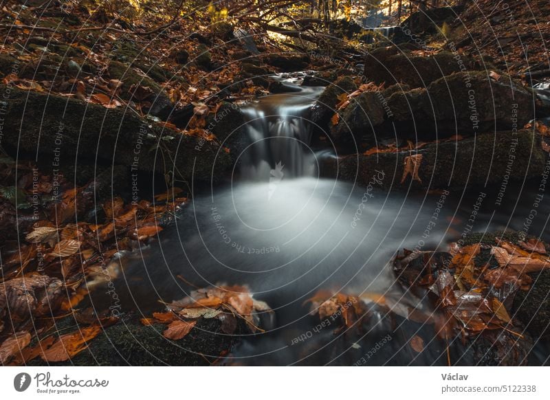 Vlasky River with waterfall illuminated with sun in an untouched landscape in the middle of an autumn mixed forest in red-orange colour. Moravka, Beskydy mountains, Czech republic