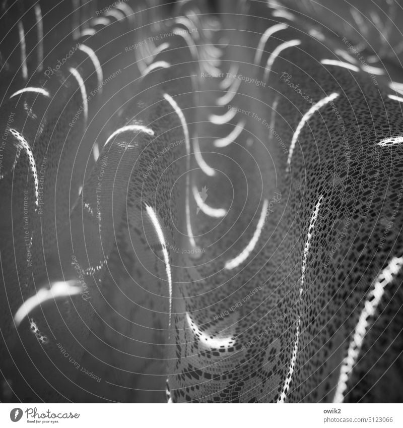 light track Wavy line Folds Mysterious Shaft of light crimped Venetian blinds detailed view curved lines Wrinkles Cloth Hang Abstract Reticular