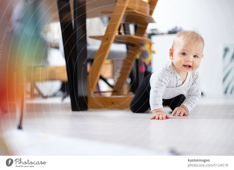 Cute infant baby boy crawling under dining room table at home. Baby playing at home newborn portrait looking childhood development toy entertainment active