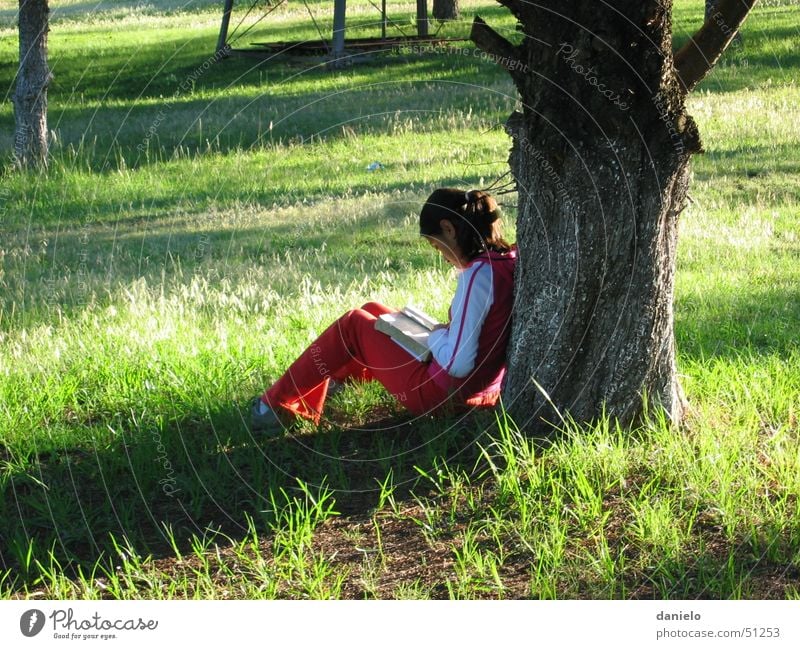 Silent time Calm Book Bible Reading Prayer Deities Meadow Tree Light Girl Nature Human being God Morning Loneliness quitness lonely grass
