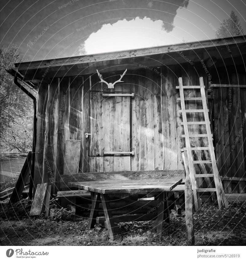 Cottage in the forest Hut Ladder antlers Rustic Forest Nature hike Table Light Clouds Wood Sky Square Black & white photo