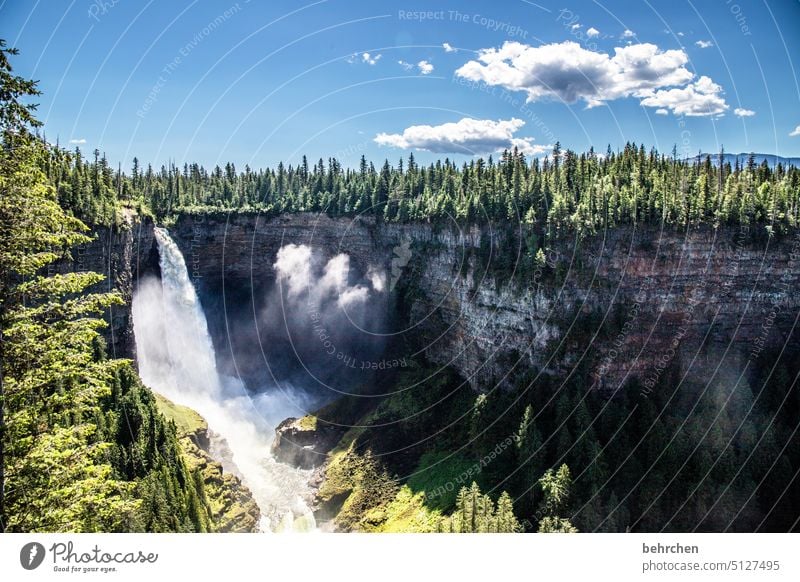 Everything is in flux Water Adventure trees Forest Far-off places River Vacation & Travel Wanderlust Rocky Mountains North America Canada Sky Fantastic Riverbed