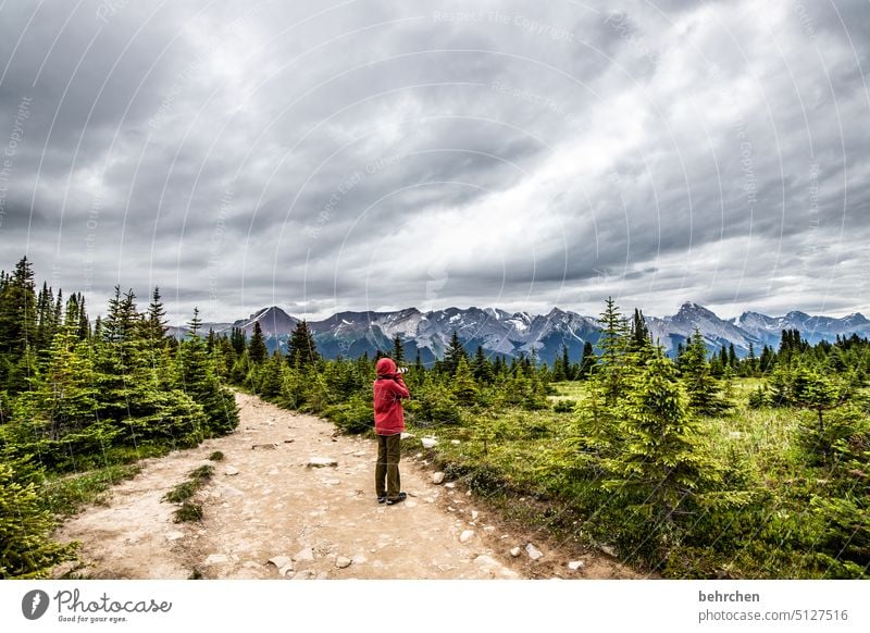 once upon a time in canada Jasper national park Clouds Hiking Canada Adventure Mountain Forest trees Landscape North America Rocky Mountains Wanderlust