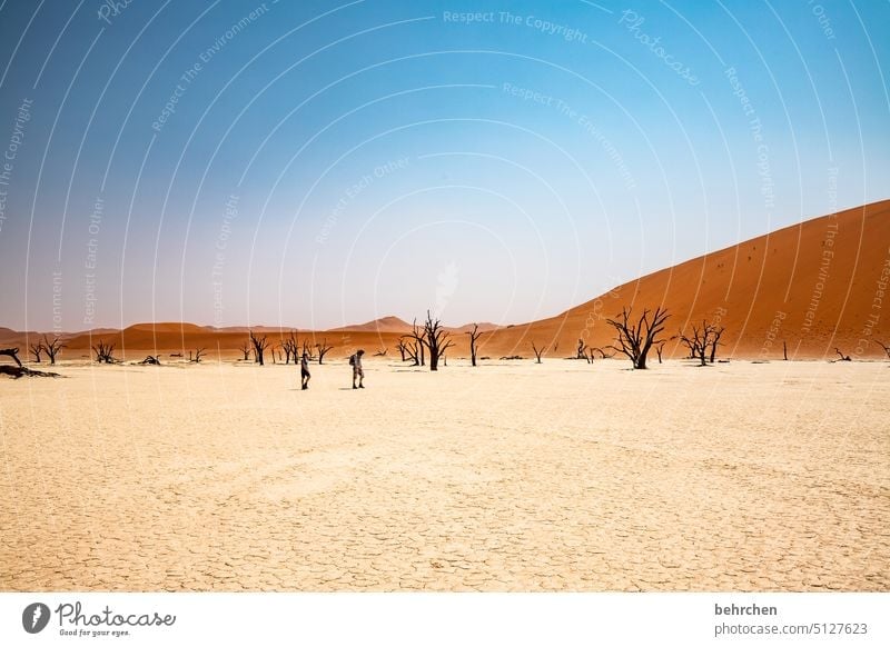 heartland namibia Desert Africa Namibia Far-off places Sossusvlei Sandstorm Dune 45 Sesriem Wanderlust Warmth