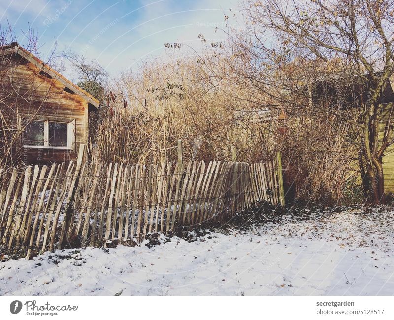 Hermit existence Garden plot Idyll White Winter Fence Tree House (Residential Structure) Wood Wooden house Wooden hut Hut Architecture slanting Shaky Snow layer