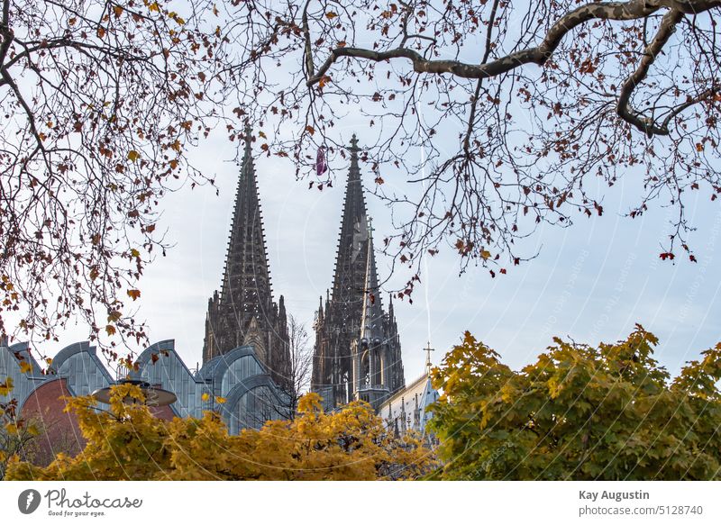 Cologne Cathedral spires from the Rhine bank Cathedral Towers Manmade structures City Church Autumnal house of God philharmonic orchestra Old town Autumn leaves