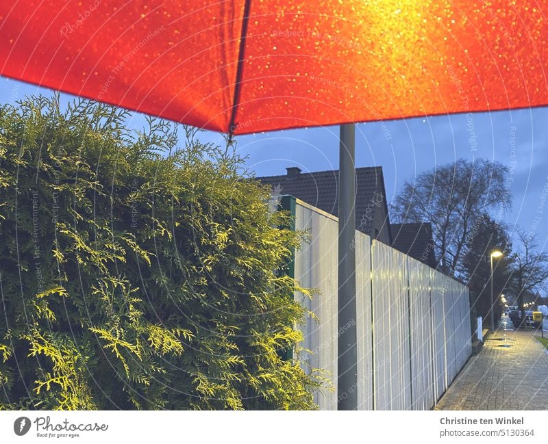 Being out in the rain with the red umbrella Rain Rainy weather Twilight blue hour Sky Hedge Wooden fence streetlamp houses off Residential area Bad weather