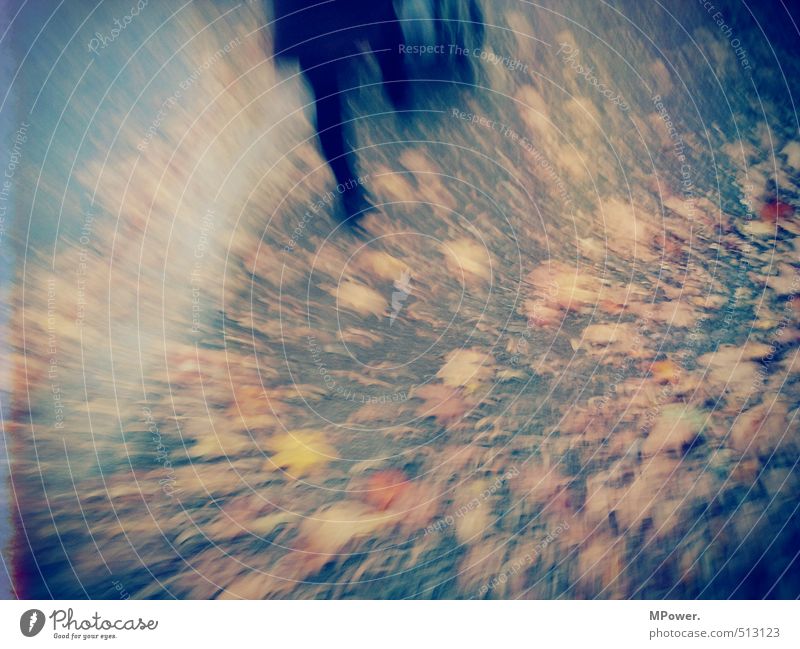 moved Feminine Legs Feet 1 Human being Running Movement Walking Brown Orange Autumn leaves Going Lanes & trails Leaf Blur Abstract Colour photo Subdued colour