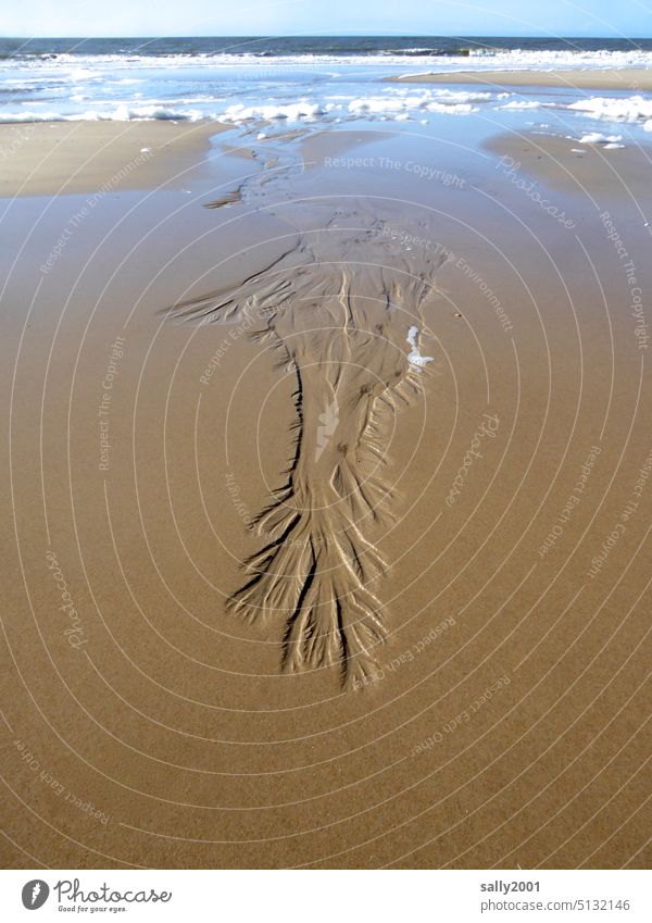 Whims of nature | Art in the sand Beach and sea Ocean Sand Tideway Low tide Water coast North Sea Slick Surf Waves Delicate Structures and shapes Horizon