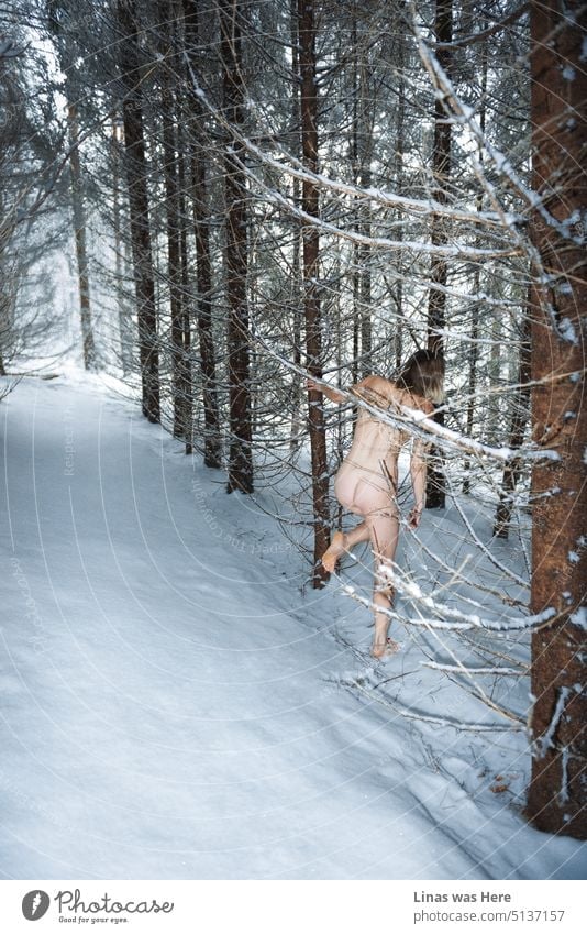 It’s freezing cold outside in the woods. Anyhow, this gorgeous naked blonde girl is running through the snow barefoot. Sexy curves. Booty. A wild and free woman feels comfortable in her skin in a white winter wonderland.