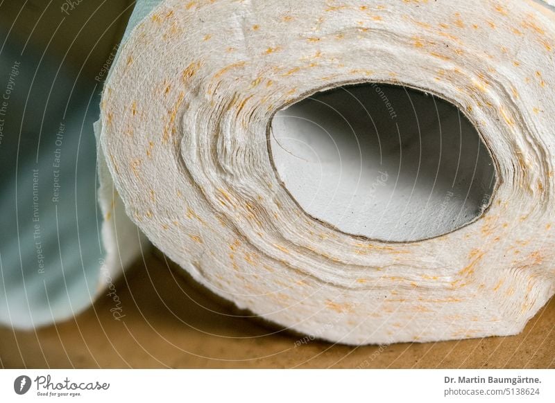 A roll of toilet paper, toilet paper, toilet paper or toilet paper, tissue paper. Toilet paper Coil paper roll eyeballed Hygiene articles Tissue paper