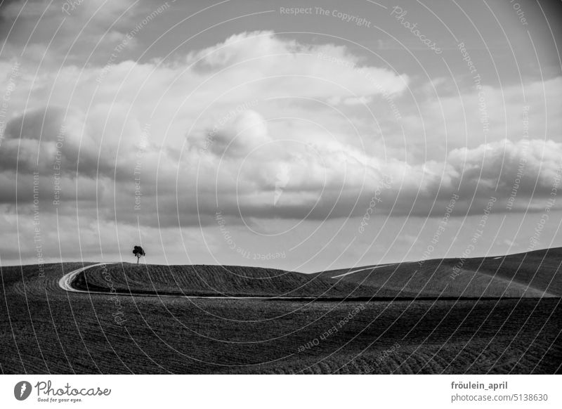 Final | ly ... the hilly route continues, somewhere | Tuscany Hill Landscape Nature Italy Rural Europe Agriculture country Field travel Tree Street