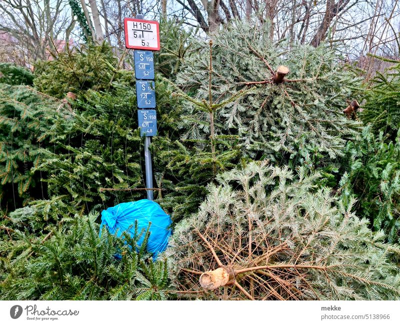 Time passes so quickly Christmas tree trees St. Knuts Day Trash Collection point mountain of rubbish knut Pick up Street Town Christmas & Advent New Year
