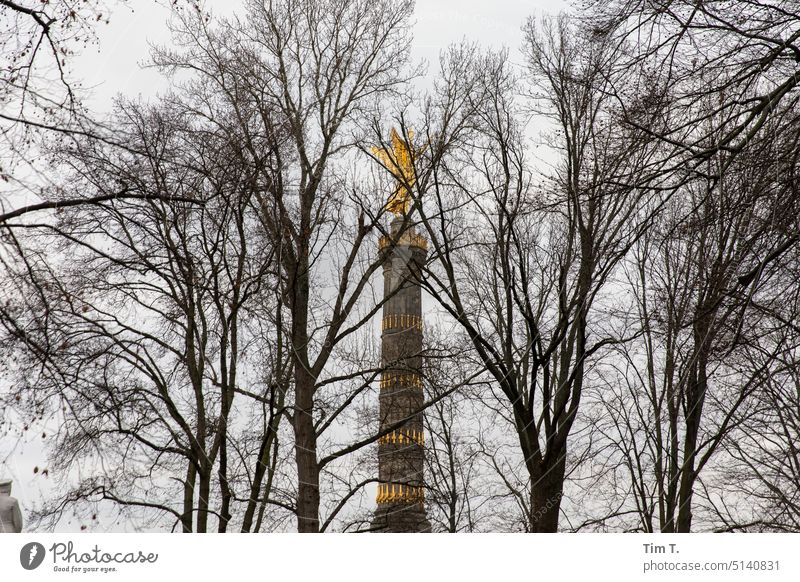 Berlin Victory Column Behind Winter Leafless Trees Victory column Berlin zoo Colour photo Monument Goldelse victory statue big star Capital city Germany