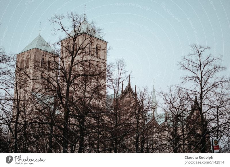 Towers and gables of St. Paulus Cathedral in Münster with winter trees against pale blue winter sky Münster city center Minster old town