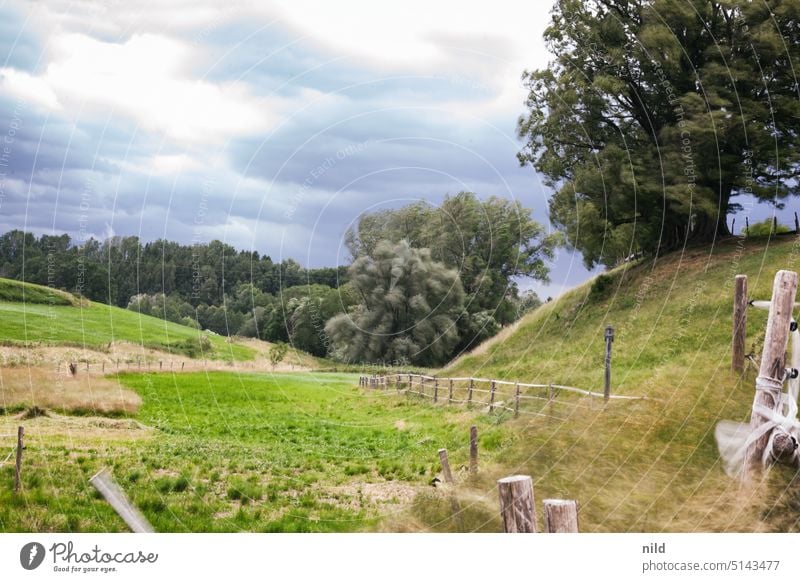 Butterweich - Föhnsturm - Around Munich Exterior shot Nature Environment Landscape Wind Gale shrubby Colour photo Weather Threat Elements foehn storm