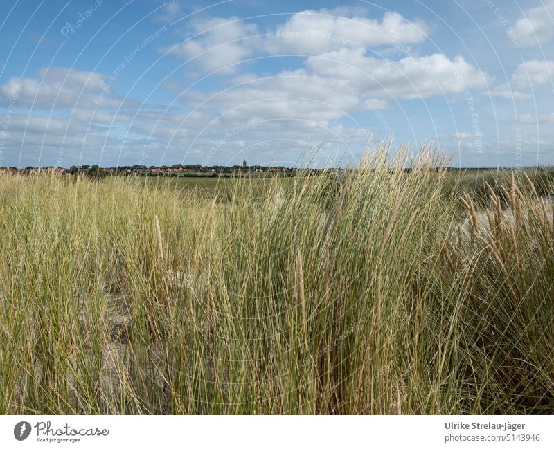 Dune against blue sky - a Royalty Free Stock Photo from Photocase