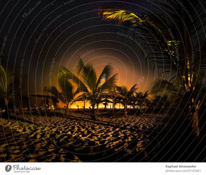 Under Stars and Palm Trees, Night sky photography at Boa Vista beach no people outdoors palm tree nature night star sea landscape tranquility boa vista