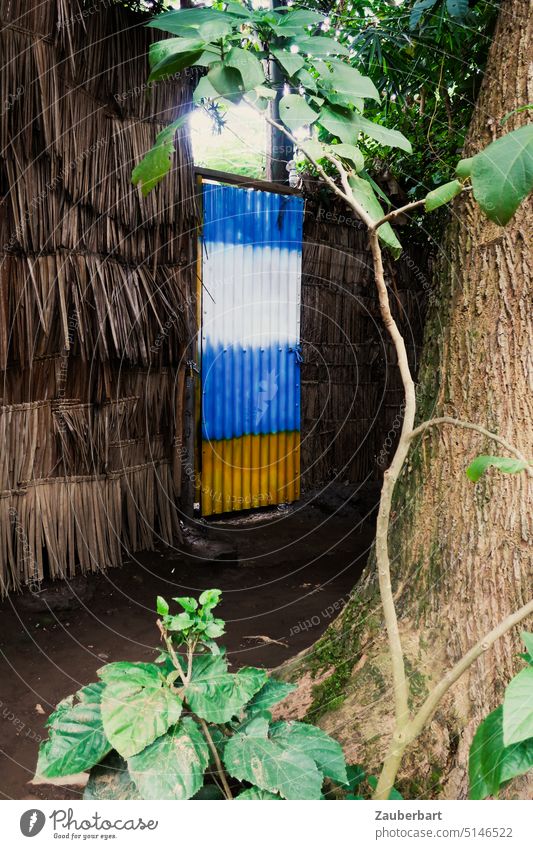 Colorful painted corrugated metal door in wall of dried leaves, tree and mysterious passage or entrance, on a farm Corrugated sheet iron Blue White Yellow