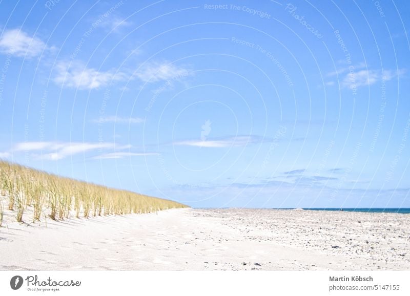 Dune on the beach of the Baltic Sea with dune grass. White sandy beach on the coast sea landscape vacation summer nature tourism recreation water blue travel