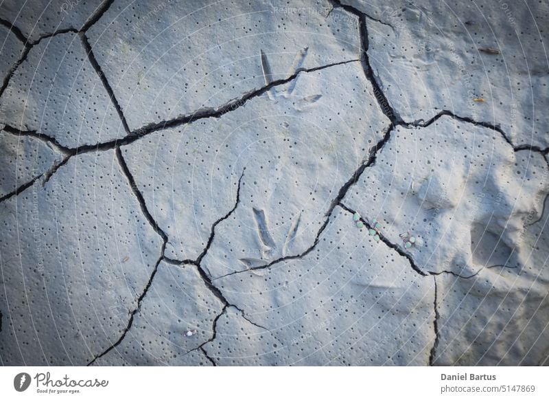 Cracked earth in the top view for the background or graphic design with the  concept of drought and death. - a Royalty Free Stock Photo from Photocase