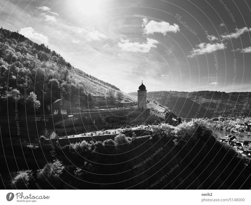 Cell, Round Tower Zell/Moselle River Vineyard Nature Landscape Exterior shot Rhineland-Palatinate Moselle valley Idyll Mosel (wine-growing area) Tourism