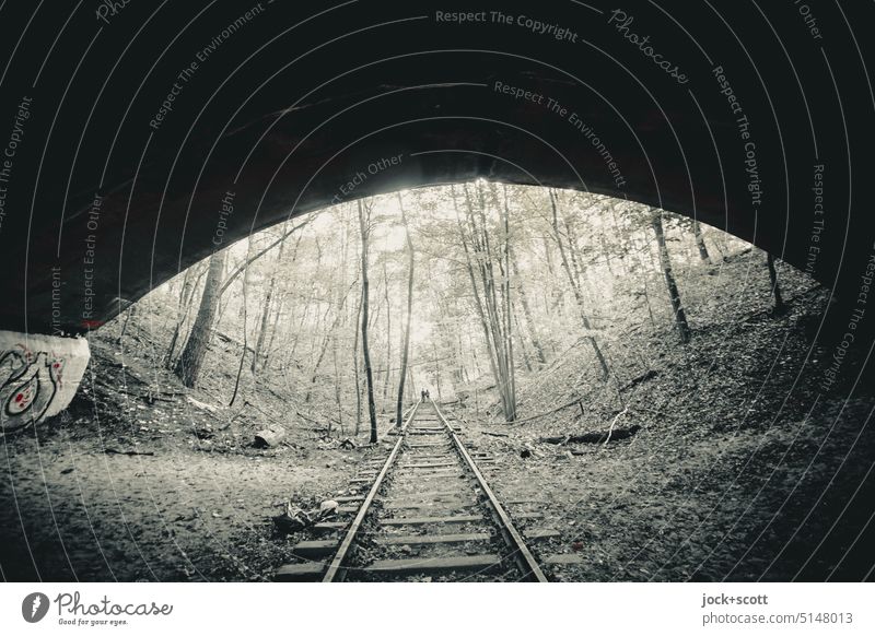 color reduced | on old rusted tracks under bridge rails Forest Deciduous tree Decline Bridge renaturation Change Traffic infrastructure forsake sb./sth.