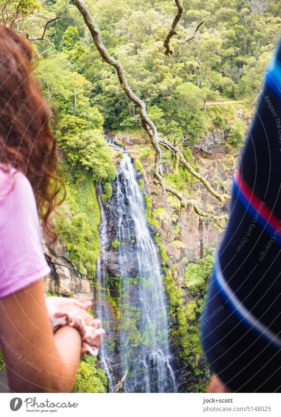 View of the waterfall in the rainforest Waterfall Nature Arm Branch Idyll Vacation & Travel Relaxation vantage point Flow Environment Landscape Stream